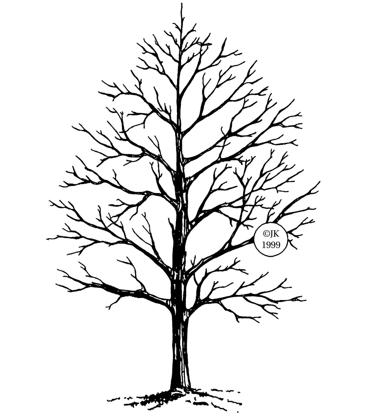 Раскраска ствол дерева без листьев для детей