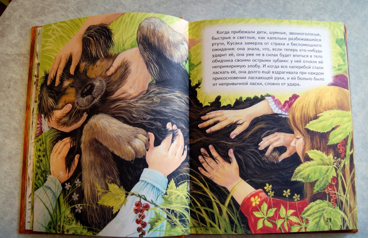 Кусака книга