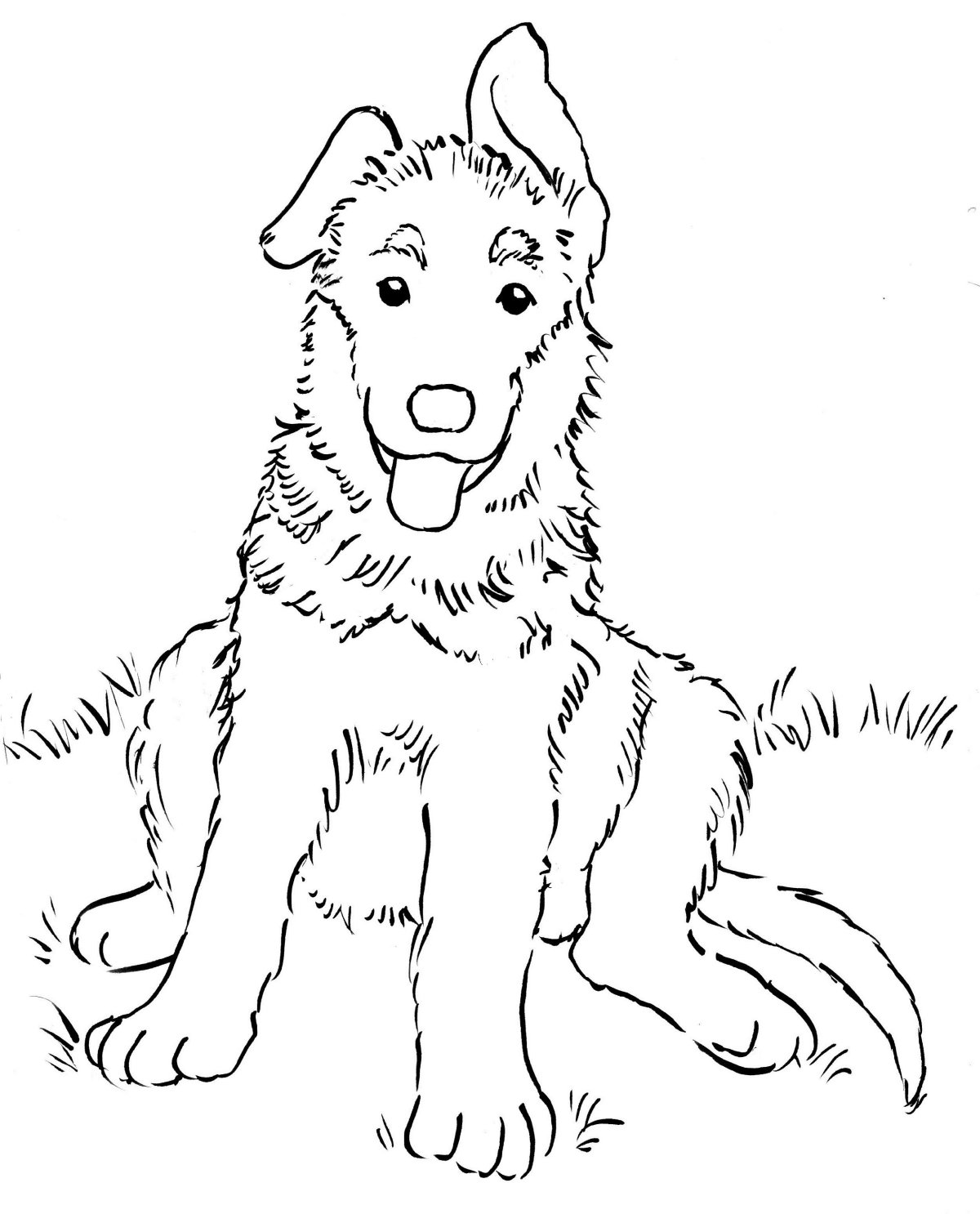 Жила на свете собака книга