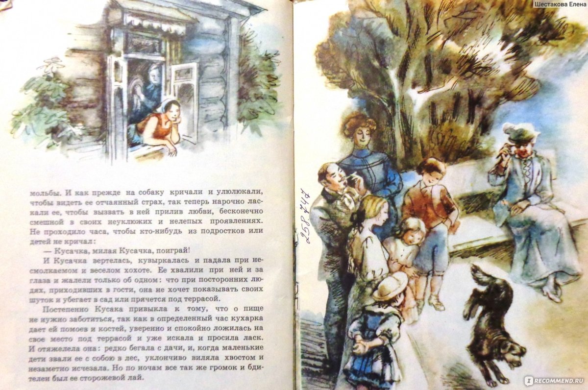 Рисунок на тему бездомные животные