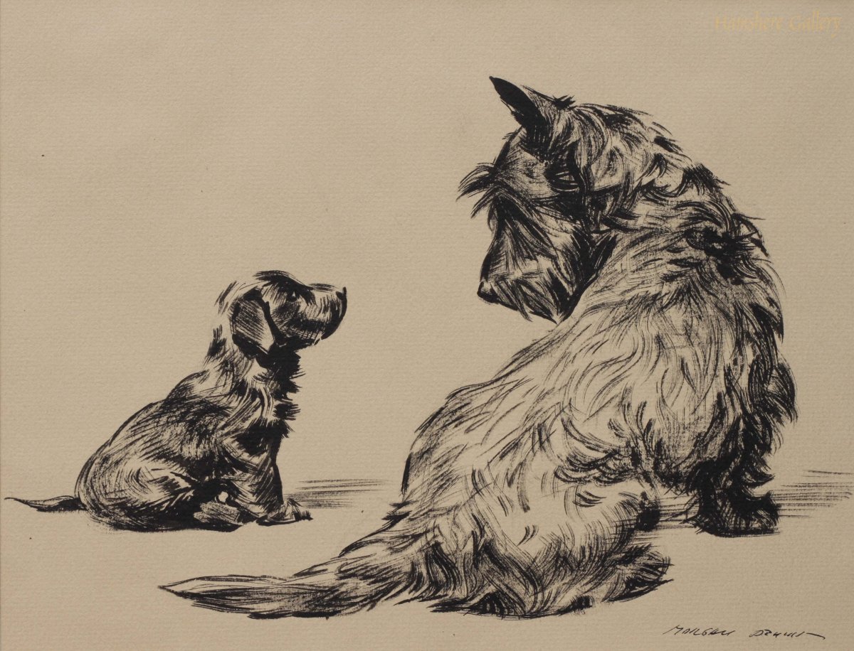 Зарисовка собаки ручкой