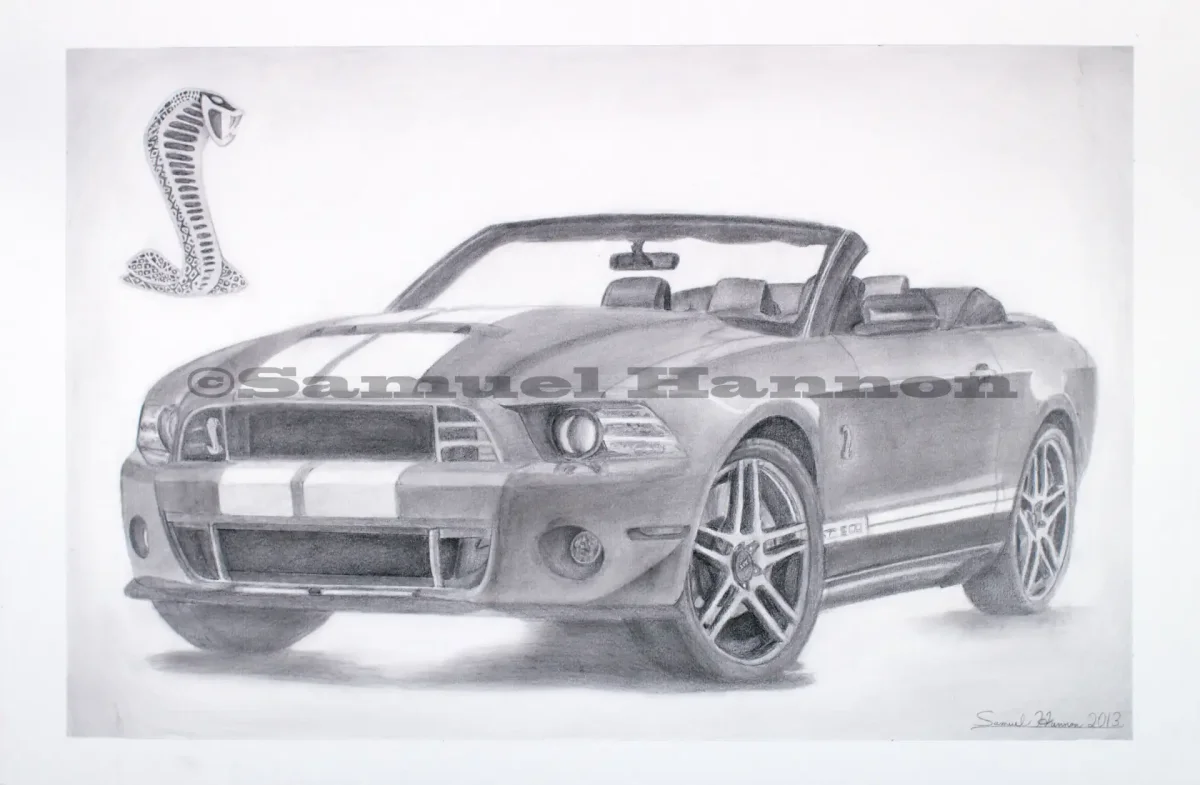 Раскраска Ford Shelby gt500