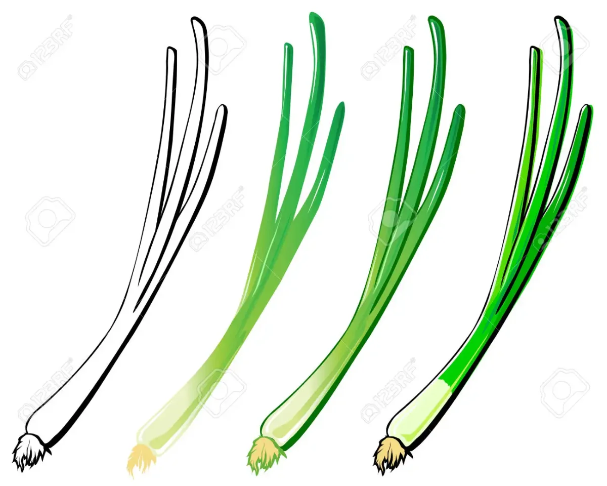 Перья индейцев контур