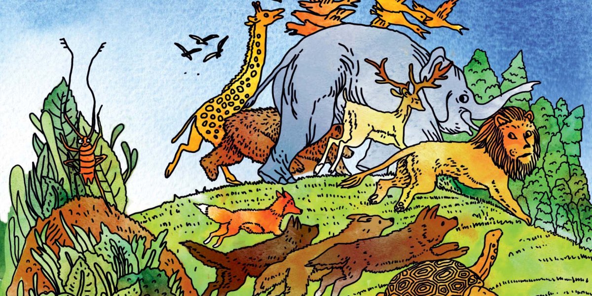 Тараканище Чуковский 2022