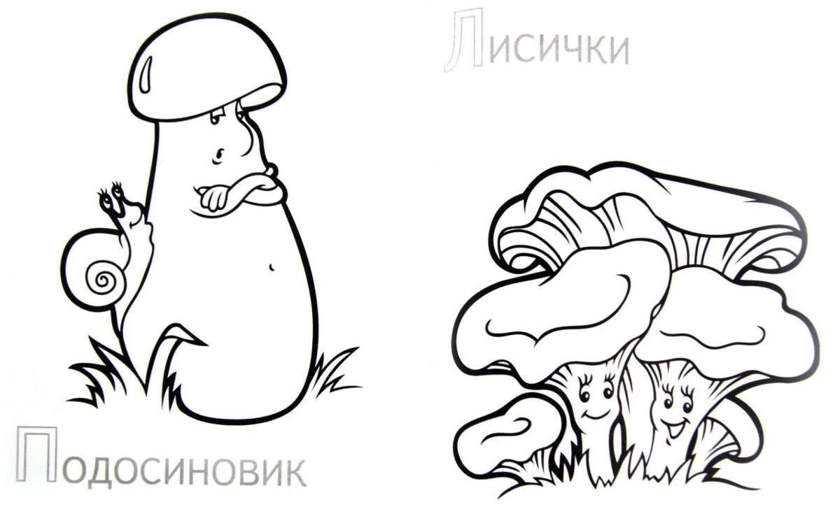 Гриб Лисичка раскраска для детей