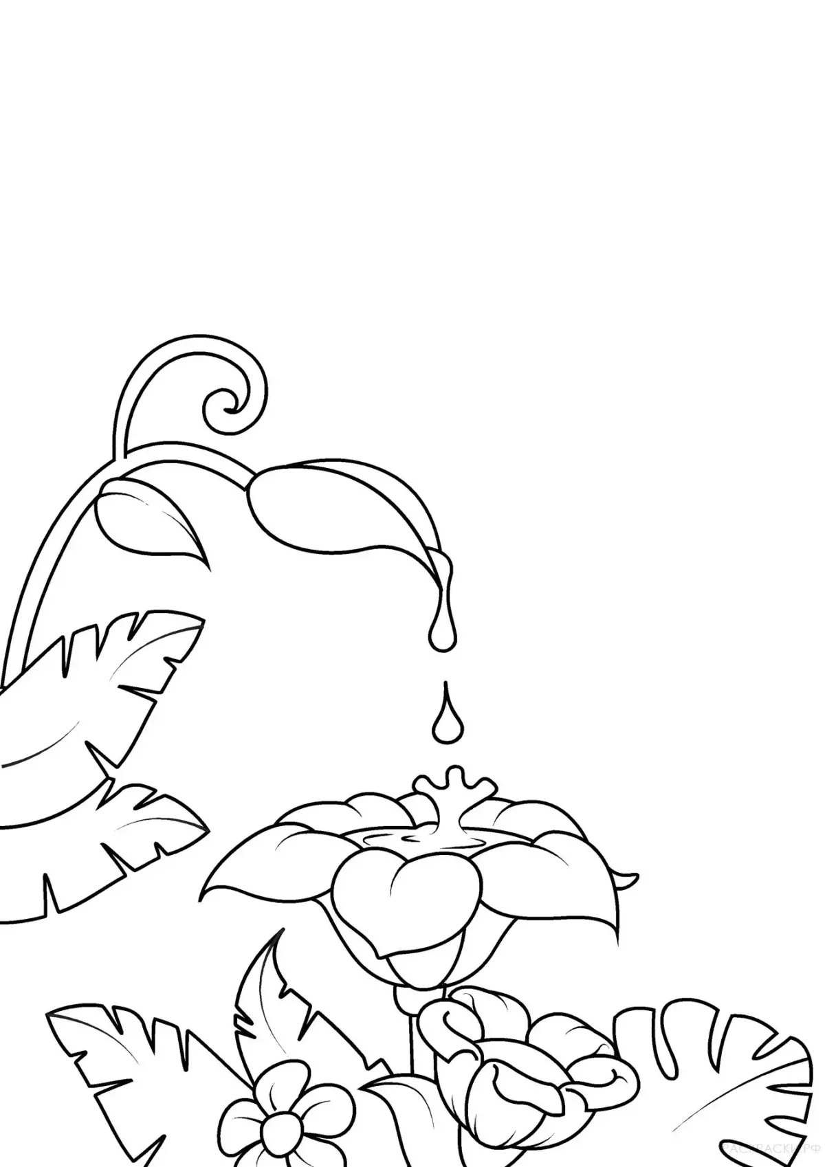 Роса раскраска для детей