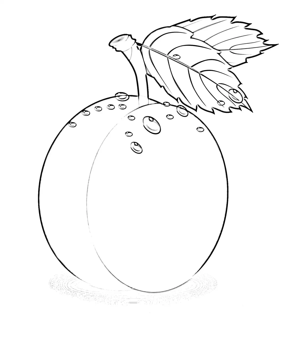 Роса раскраска