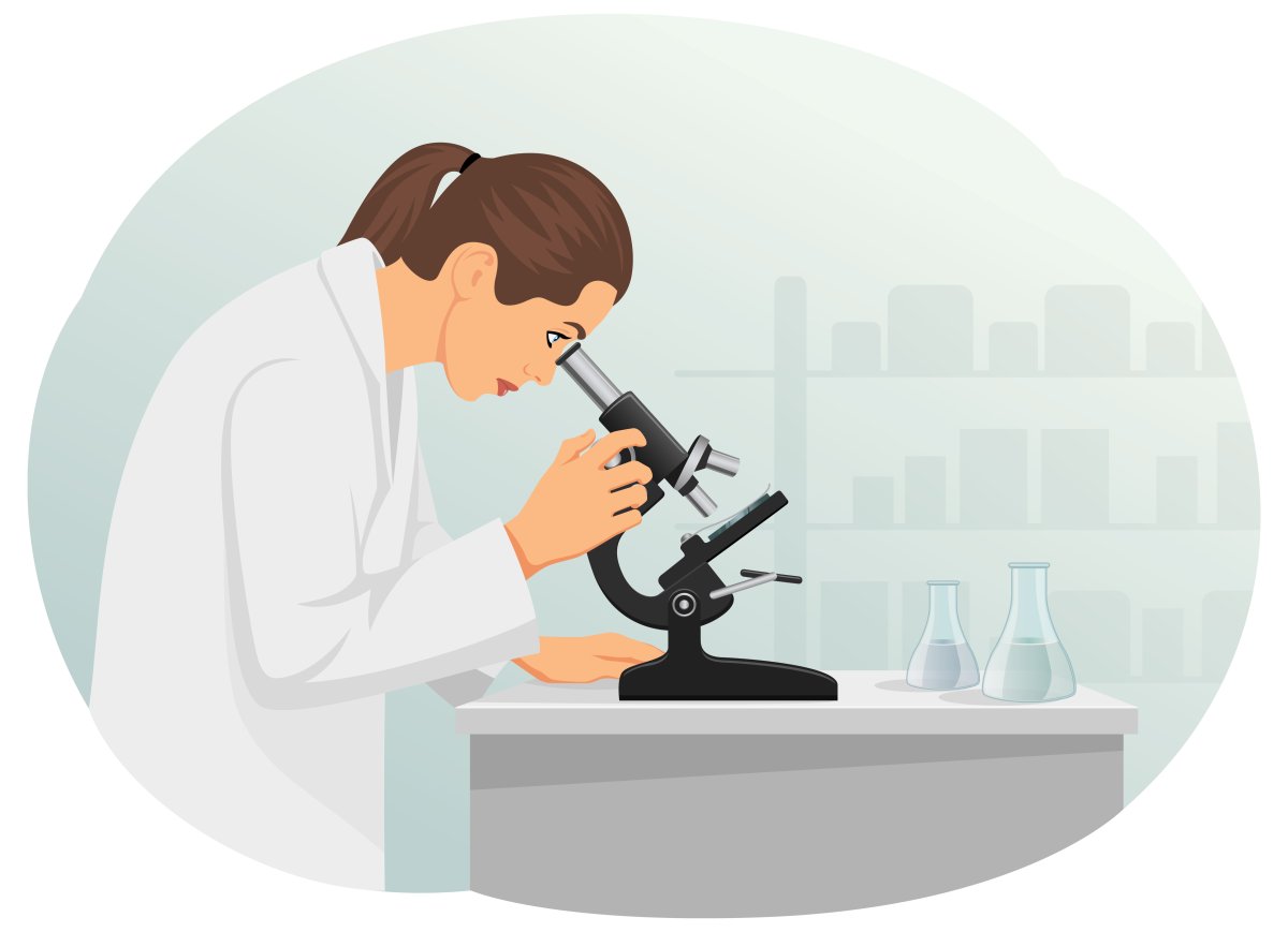 Нарисованные микроскопы 2 вида клеток