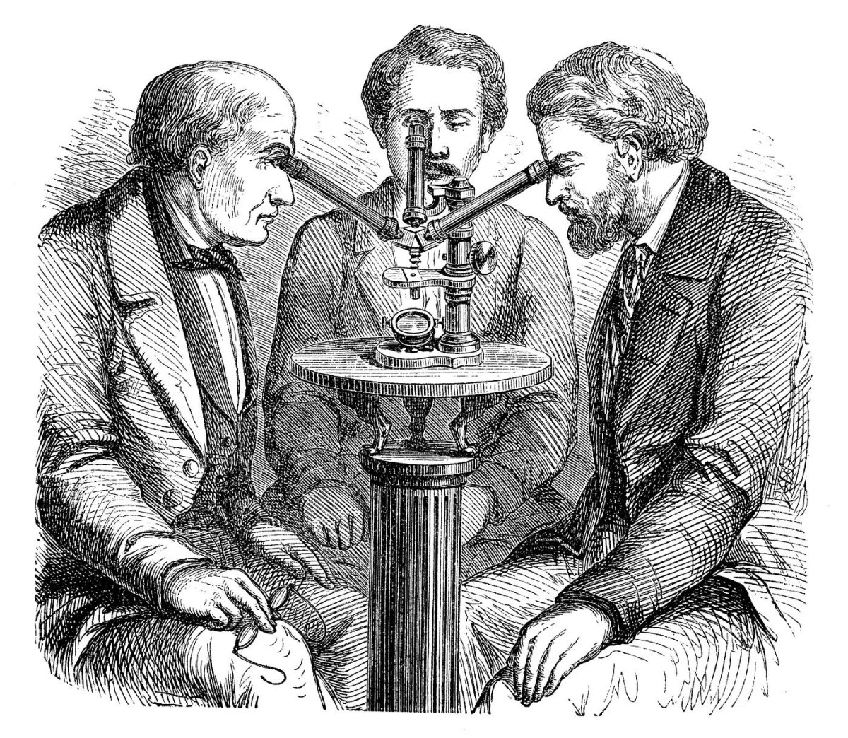 Микроскоп для рисования