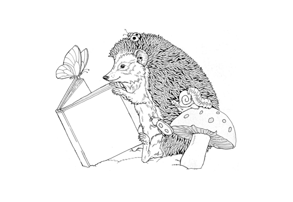Ежик раскраска для малышей