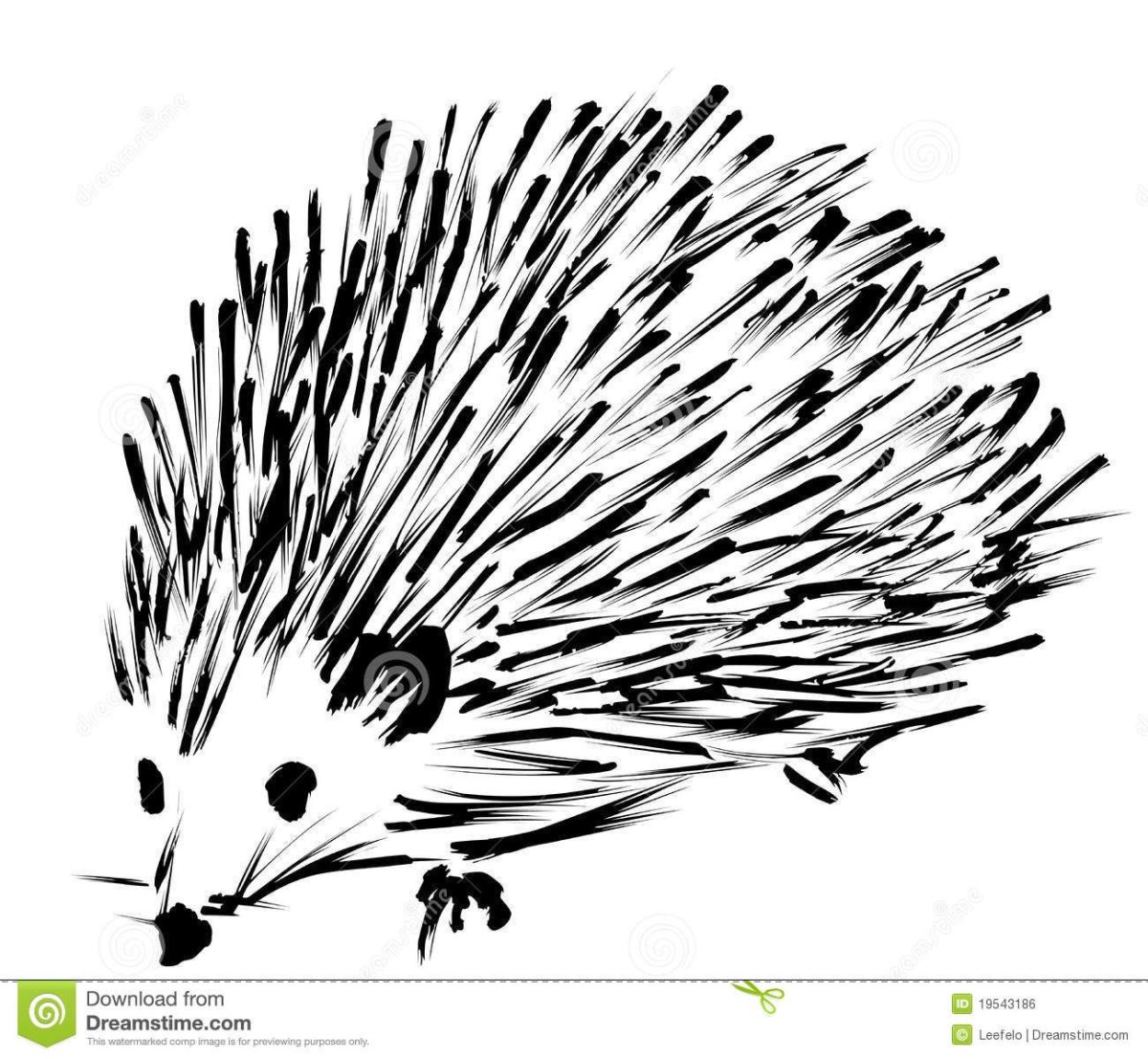 Ёжик раскраска для детей