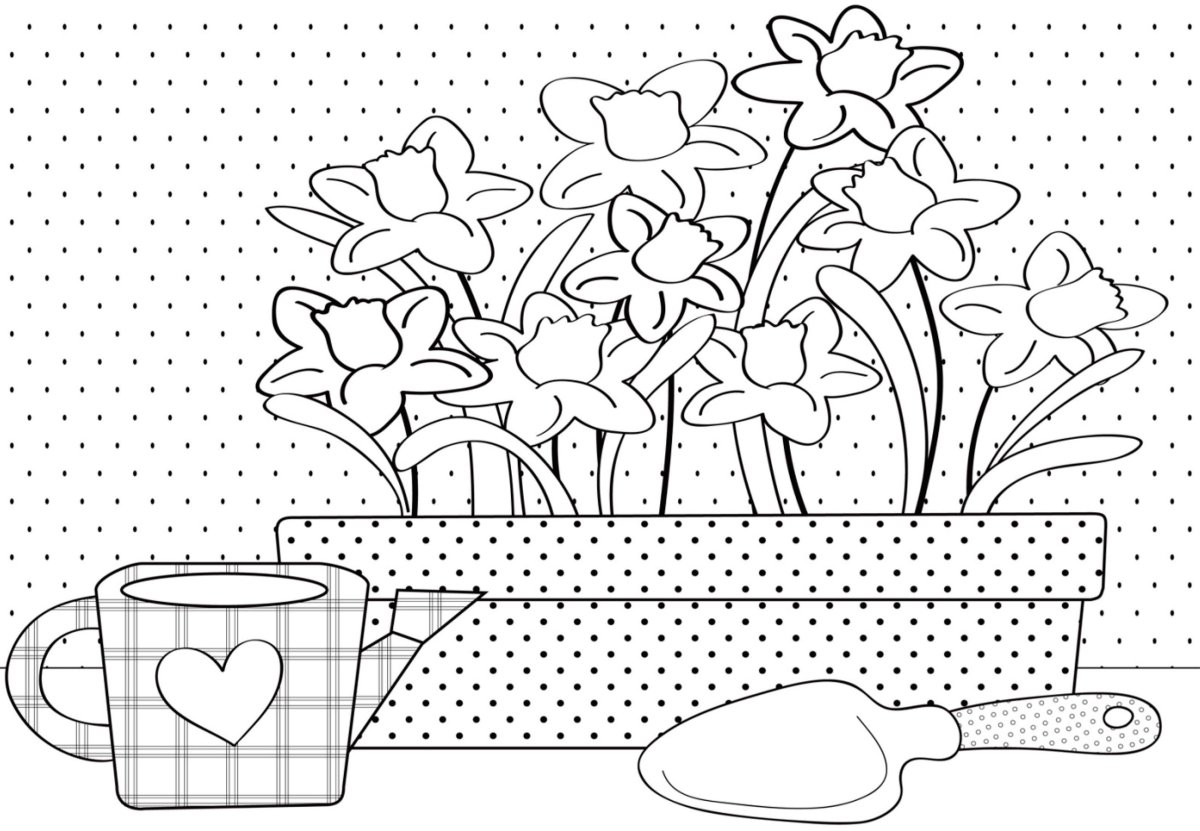 Цветовод английскими буквами