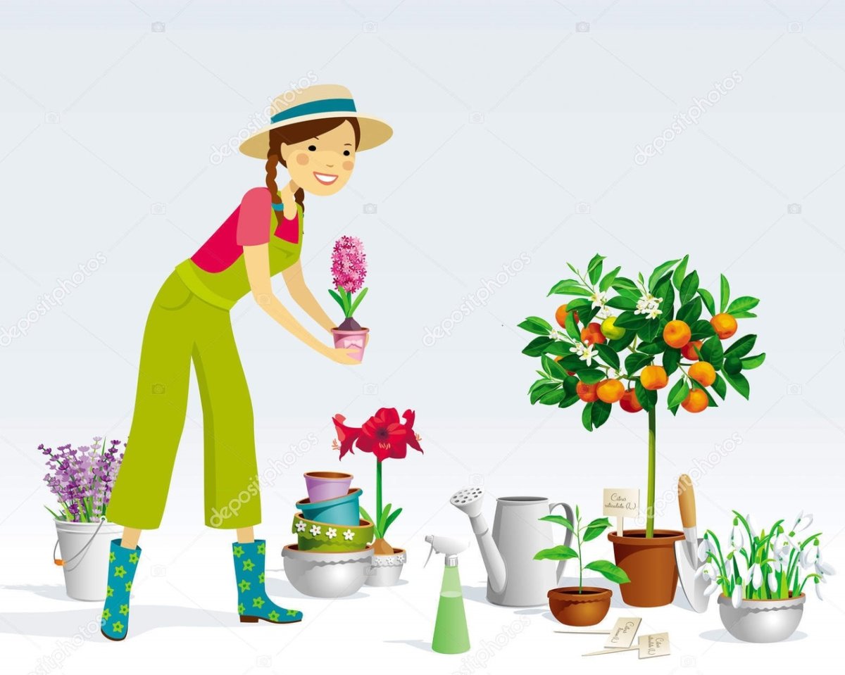 Цветовод для детей