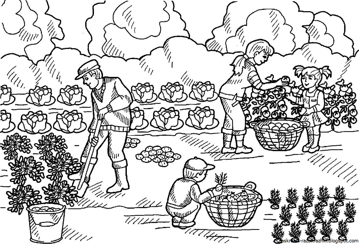 Садовник раскраска