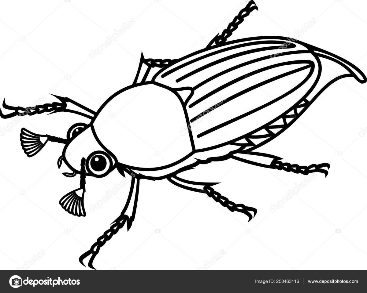 Майский Жук раскраска для детей