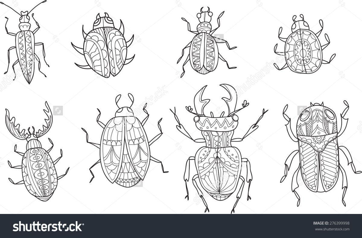 Жук раскраска для детей