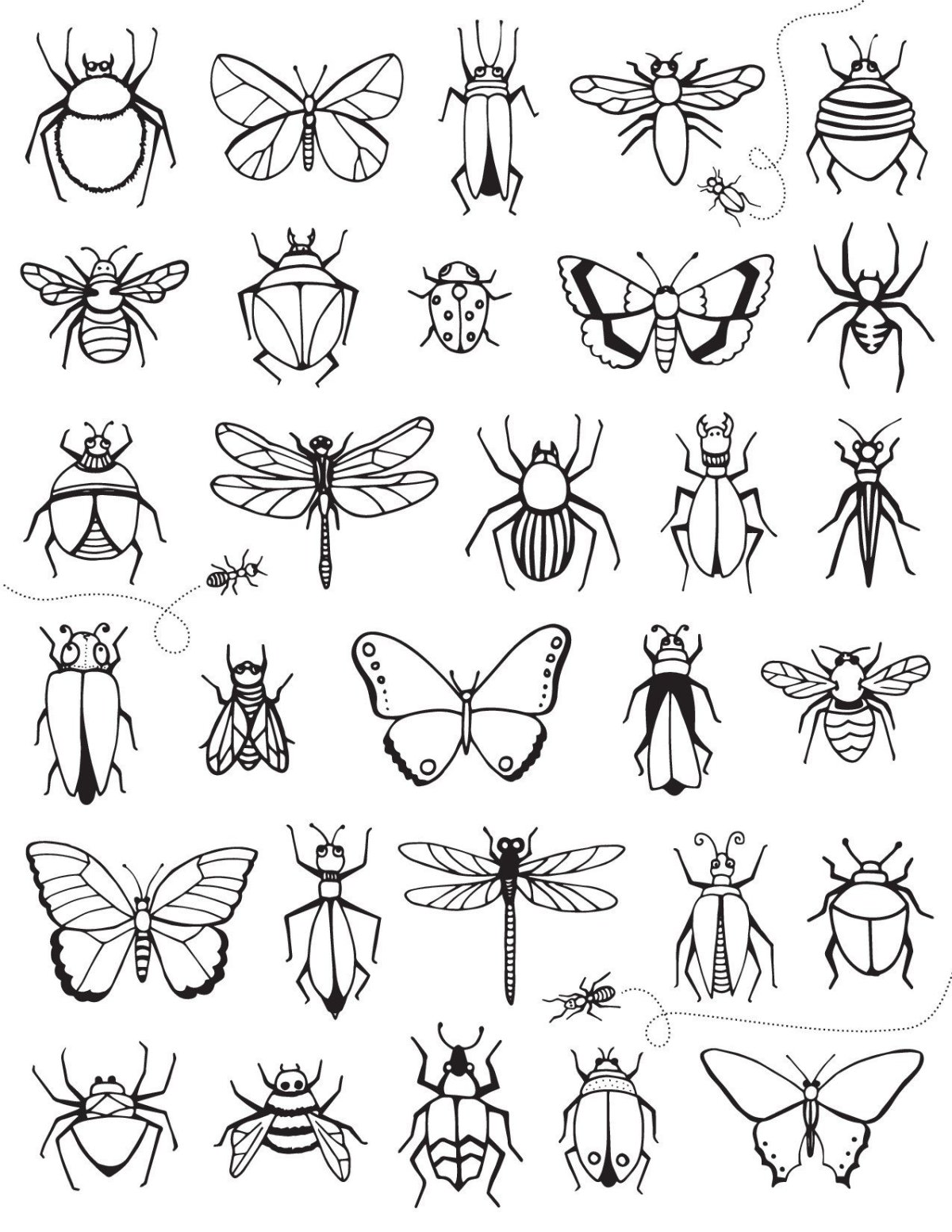 Жук раскраска для детей