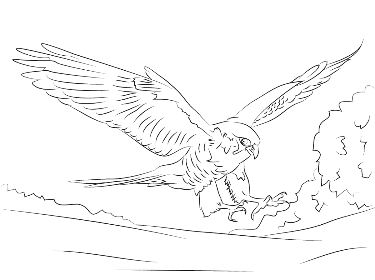 Финист Ясный Сокол раскраска