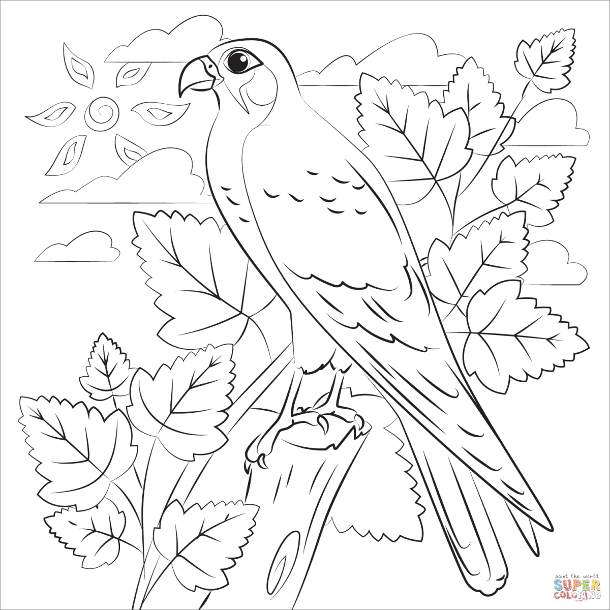 Сокол раскраска для детей 5-6