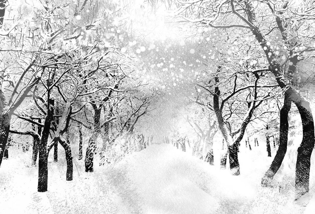 Этюд метель ф.листа