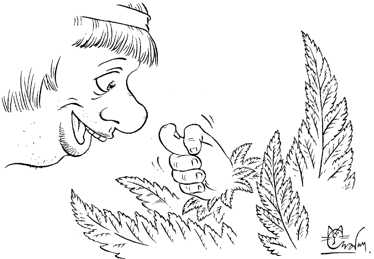 Раскраска Иван Купала для детей