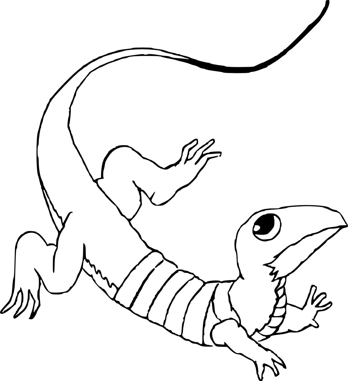 Хамелеоны. Раскраска