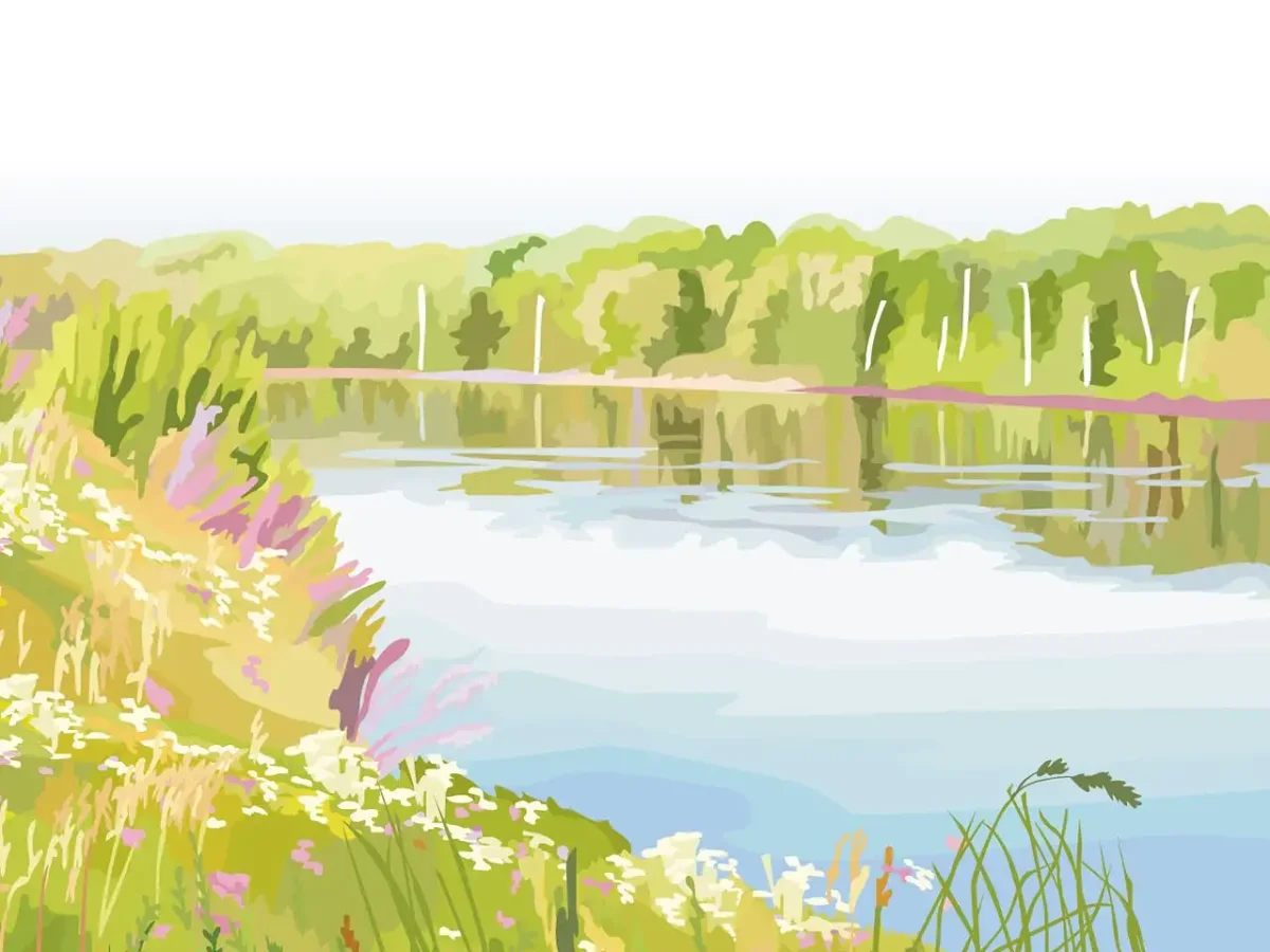 Летний пейзаж