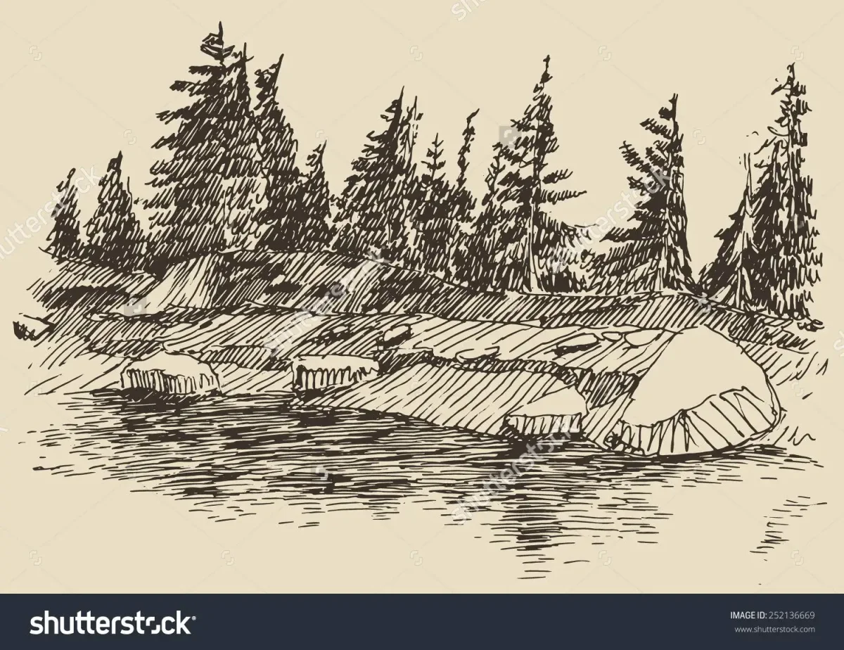 Озеро в лесу эскиз