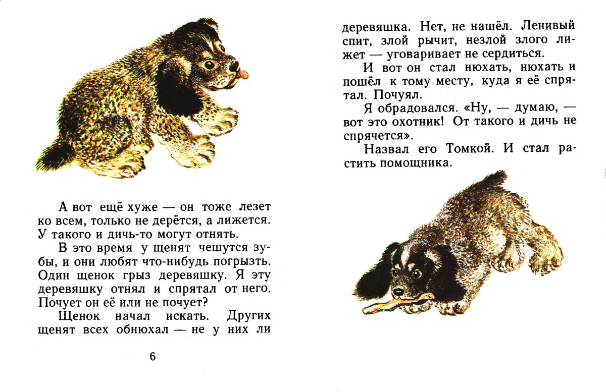 Обложка книги Тюпа Томка и сорока