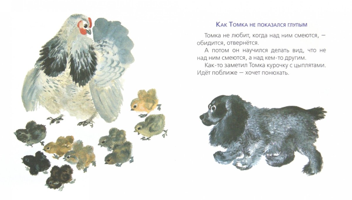 Чарушин рассказы про Томку и Тюпу