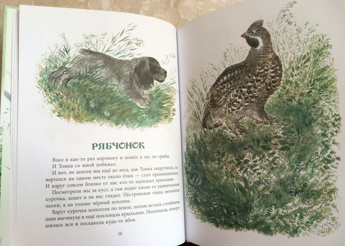 Евгений Чарушин иллюстрации про Томку