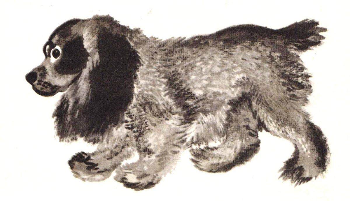 Евгений Чарушин Томка