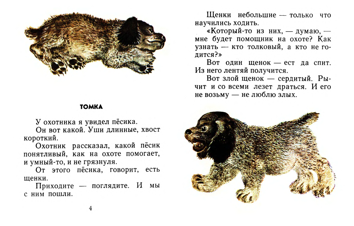 Евгений Чарушин Томка