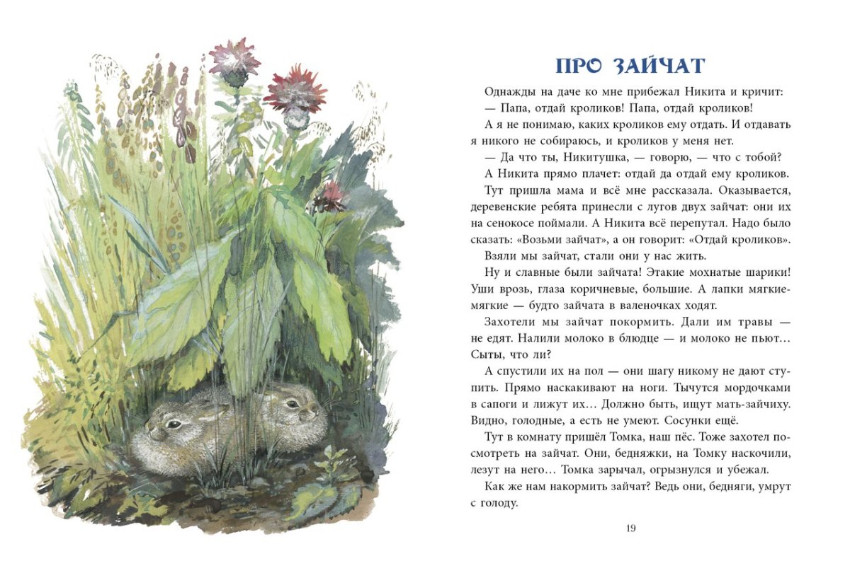 Книга Тюпа Томка и сорока