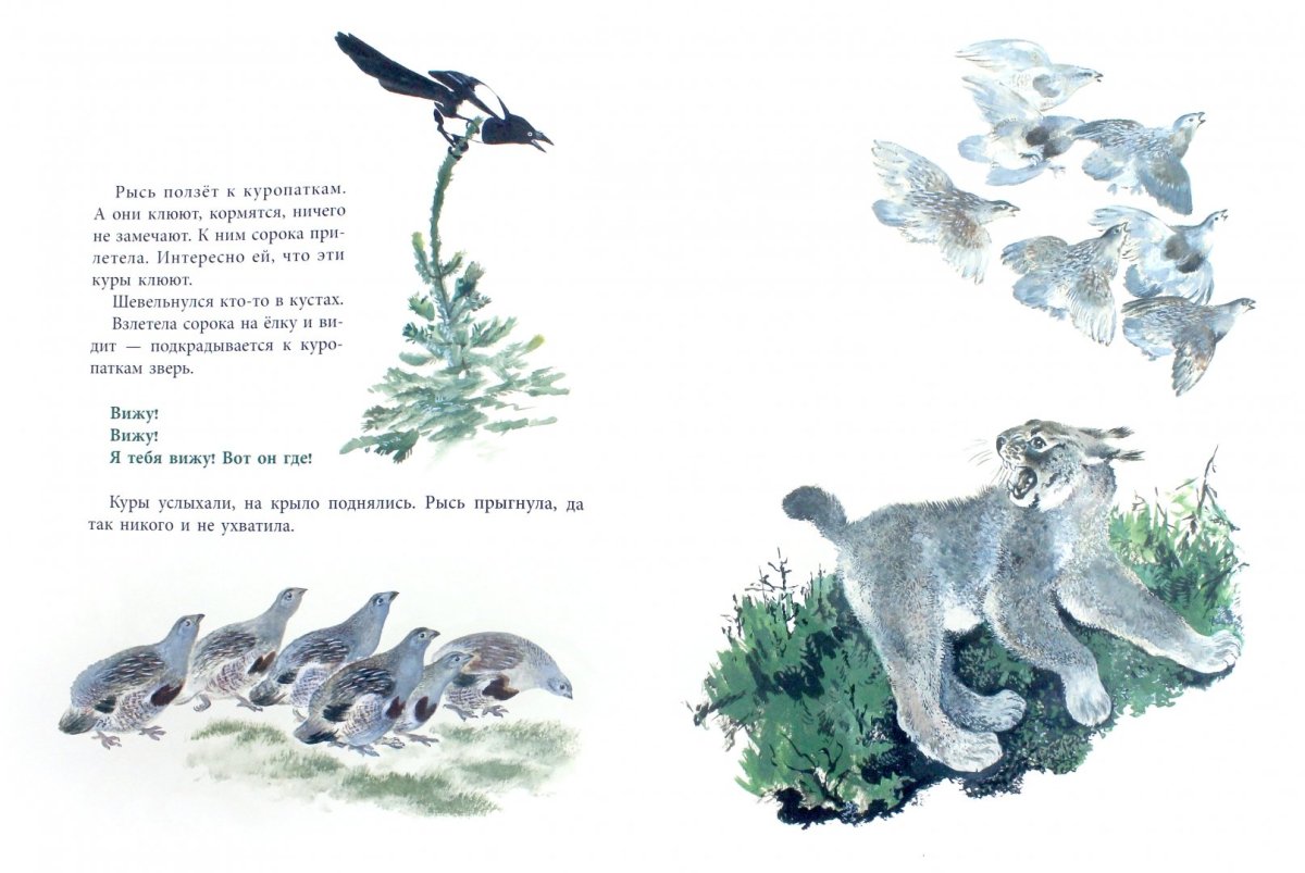 Рассказ Чарушина собака