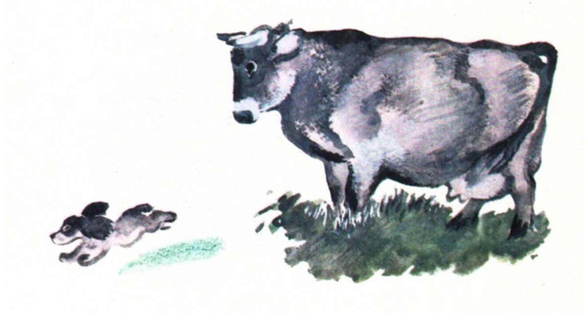 Евгений Чарушин Тюпа