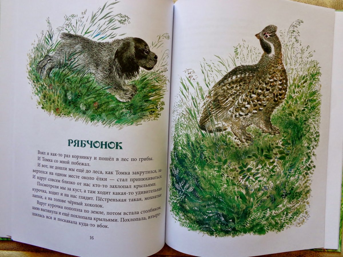 Тюпа, Томка и сорока