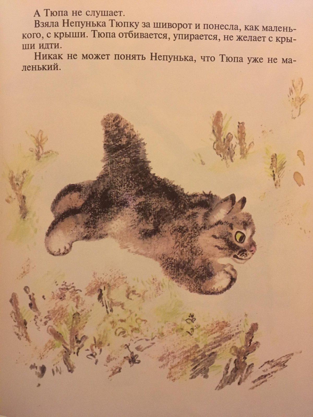 Рябчонок Чарушин иллюстрации