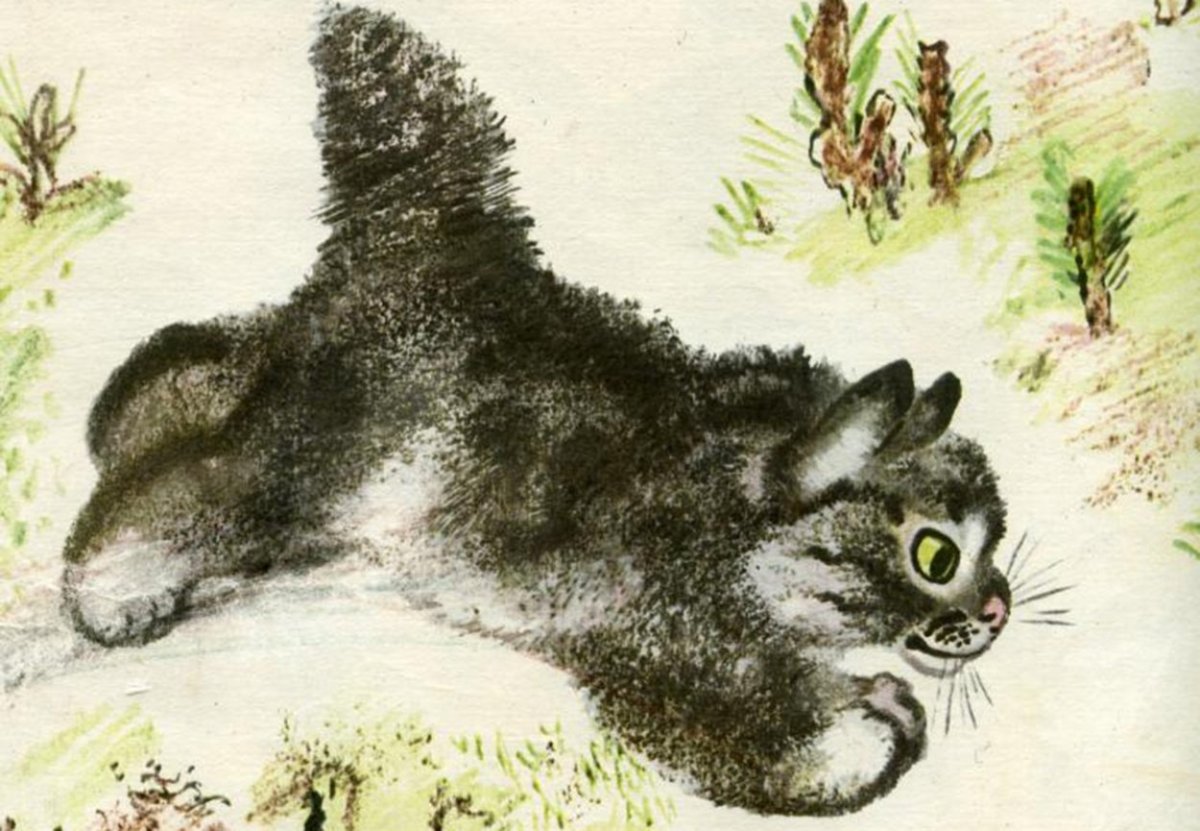 Евгения Ивановича Чарушина иллюстрации книг