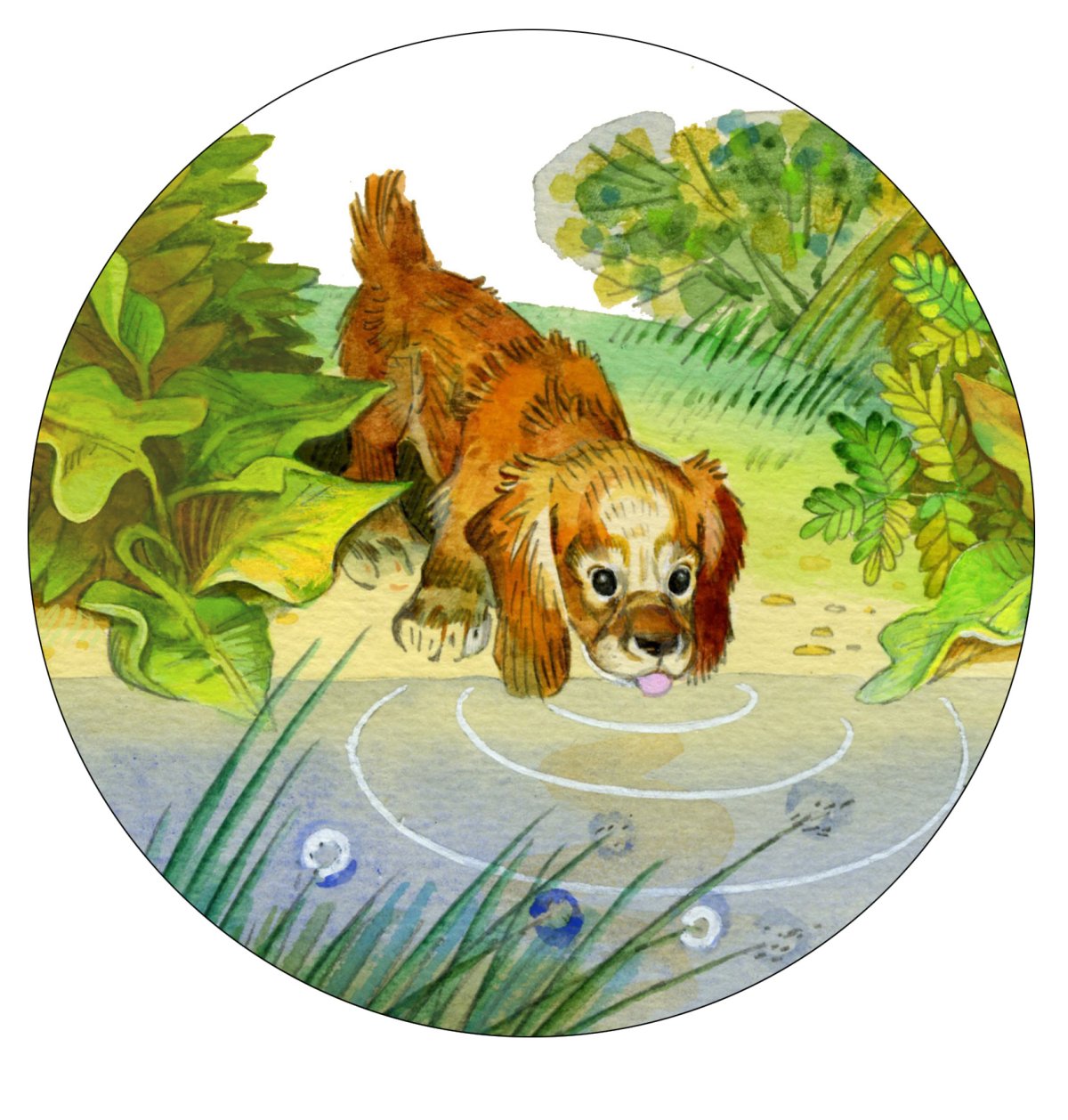 Евгений Иванович Чарушин медведь