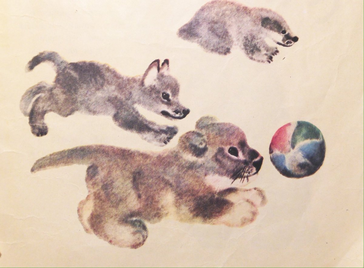 Чарушин Евгений Иванович иллюстрации птиц