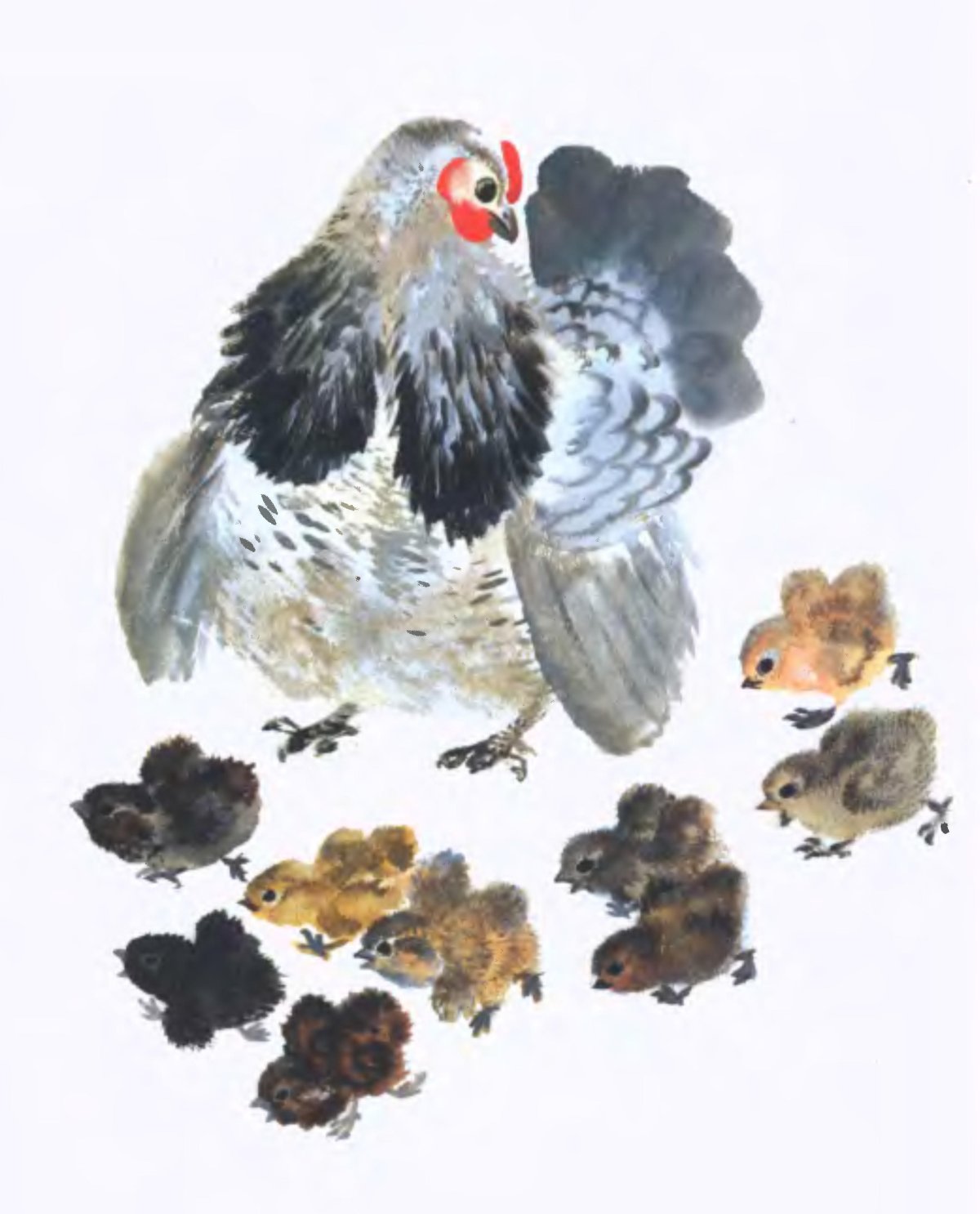 Евгений Чарушин "Томкины сны"