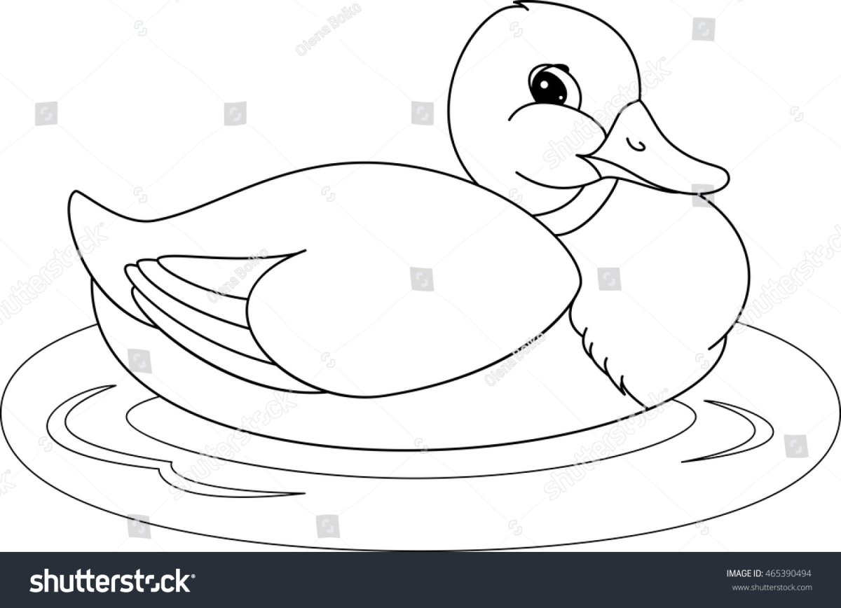 Кряква раскраска для детей