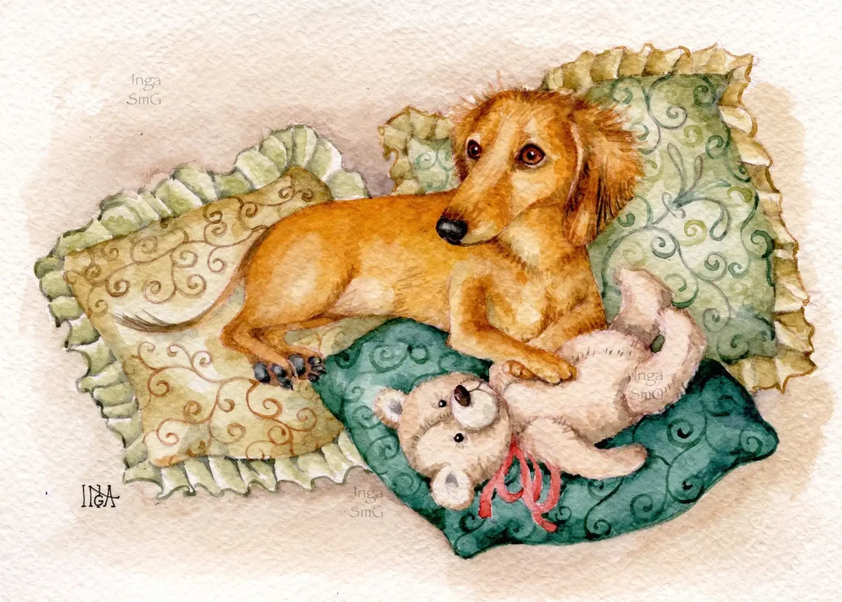 Инга Измайлова иллюстрации таксы