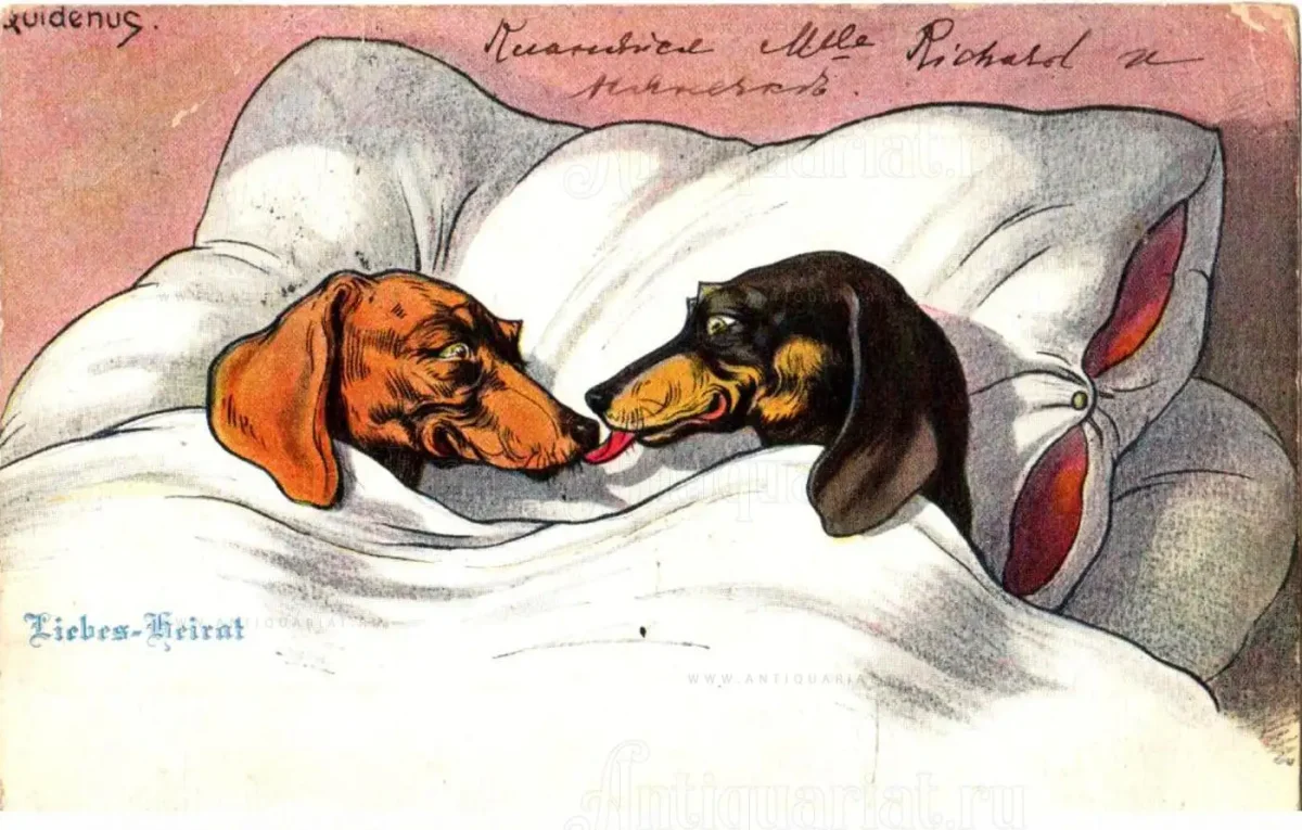 Такса иллюстрация