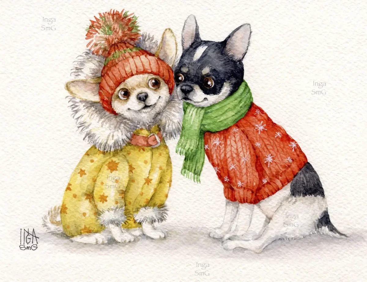 Инга Измайлова шпиц