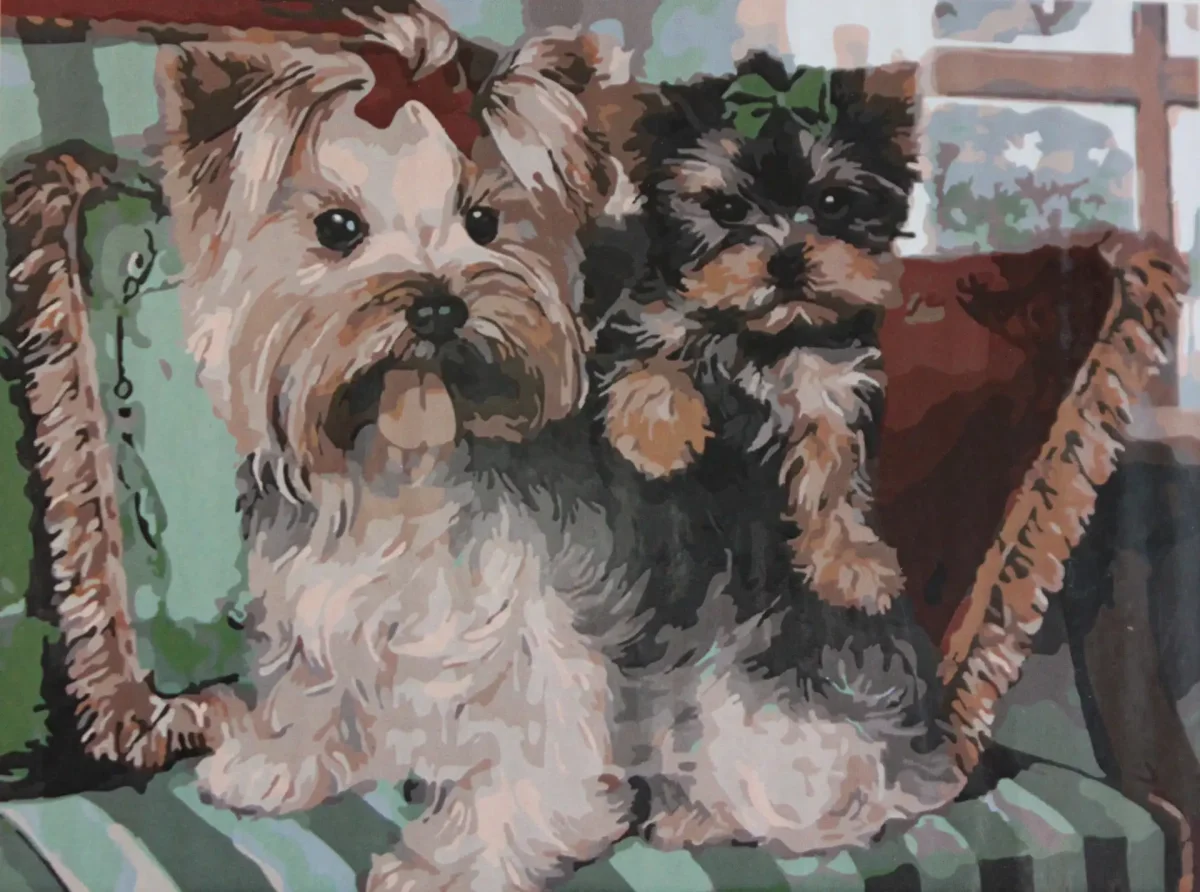 Мозаика алмазная Йорк Йоркширский терьер