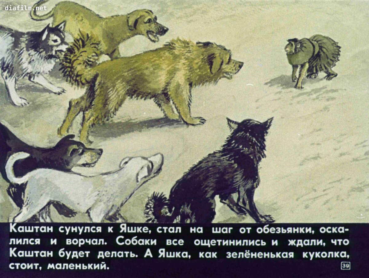 Борис Житков про обезьянку