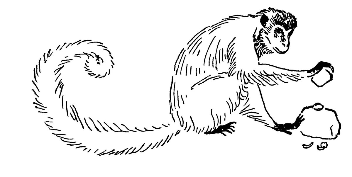 Про обезьянку Житков раскраска