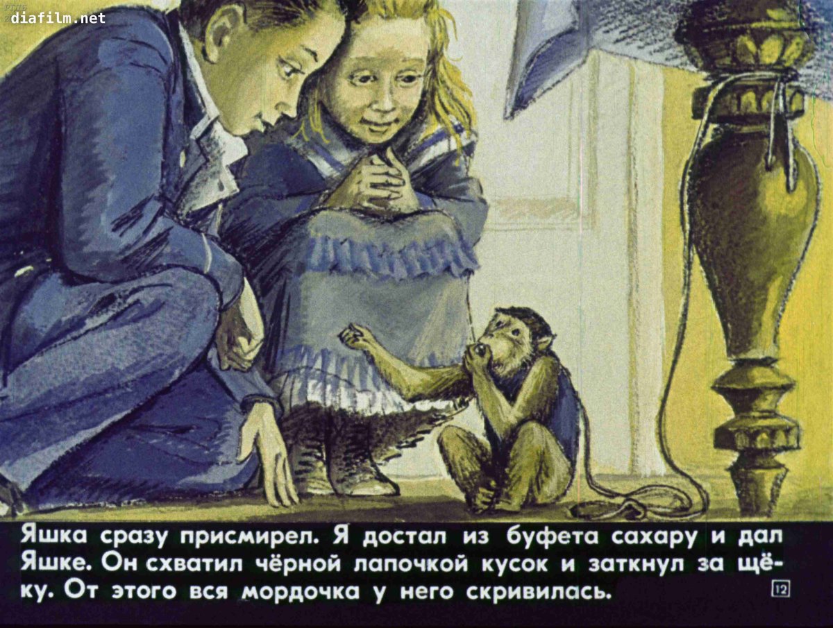 Раскраска для детей две обезьянки